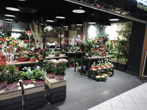 Simon Agencement Fleuriste